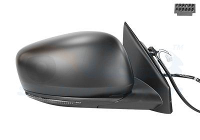 Išorinis veidrodėlis VAN WEZEL 4424808