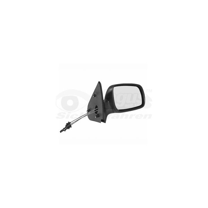 Išorinis veidrodėlis VAN WEZEL 4914804