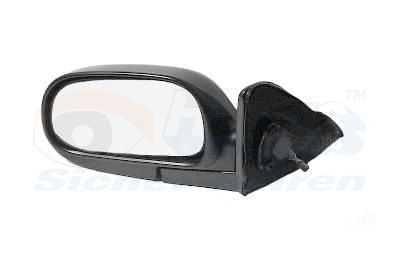 Išorinis veidrodėlis VAN WEZEL 5385804