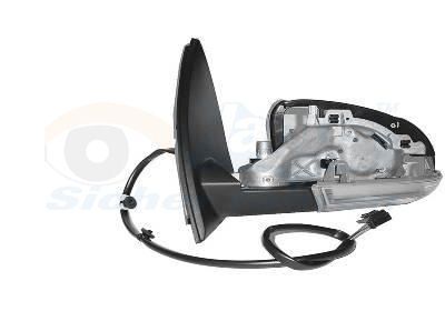 Išorinis veidrodėlis VAN WEZEL 5838859
