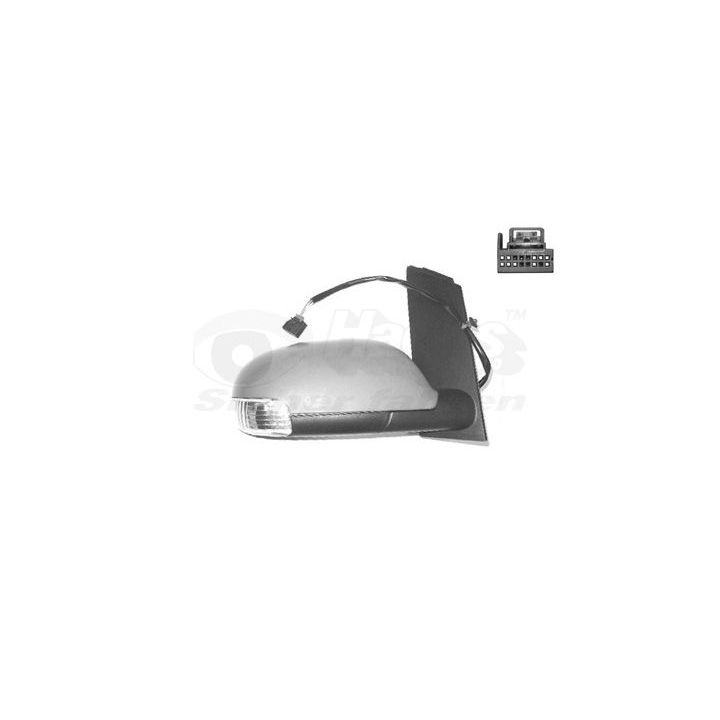 Išorinis veidrodėlis VAN WEZEL 5856818