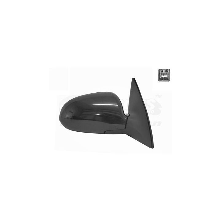 Išorinis veidrodėlis VAN WEZEL 8207808