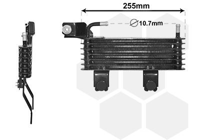 Alyvos aušintuvas, automatinė transmisija VAN WEZEL 82003369