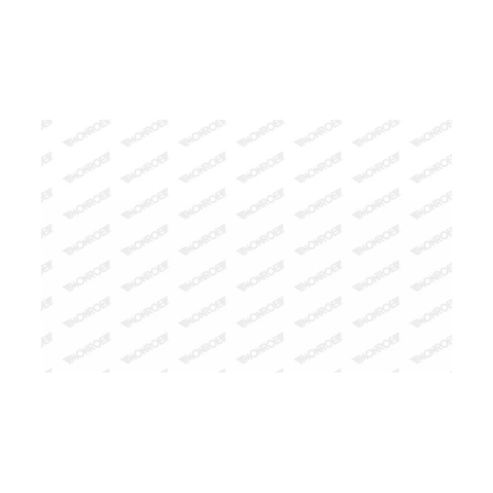 Dujinė spyruoklė, bagažinė MONROE ML5458