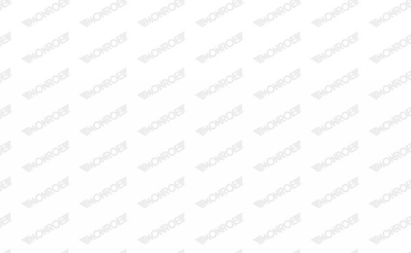 Dujinė spyruoklė, bagažinė MONROE ML5458