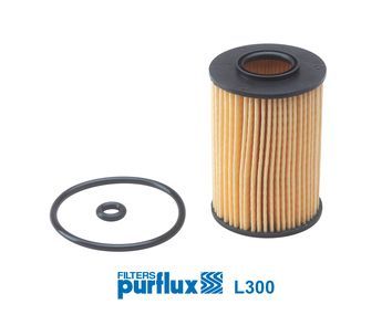 Alyvos filtras PURFLUX L300