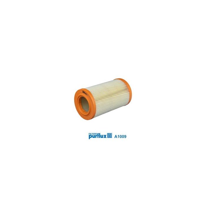 Oro filtras PURFLUX A1009