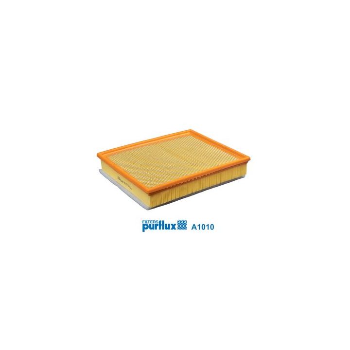 Oro filtras PURFLUX A1010