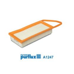 Oro filtras PURFLUX A1247