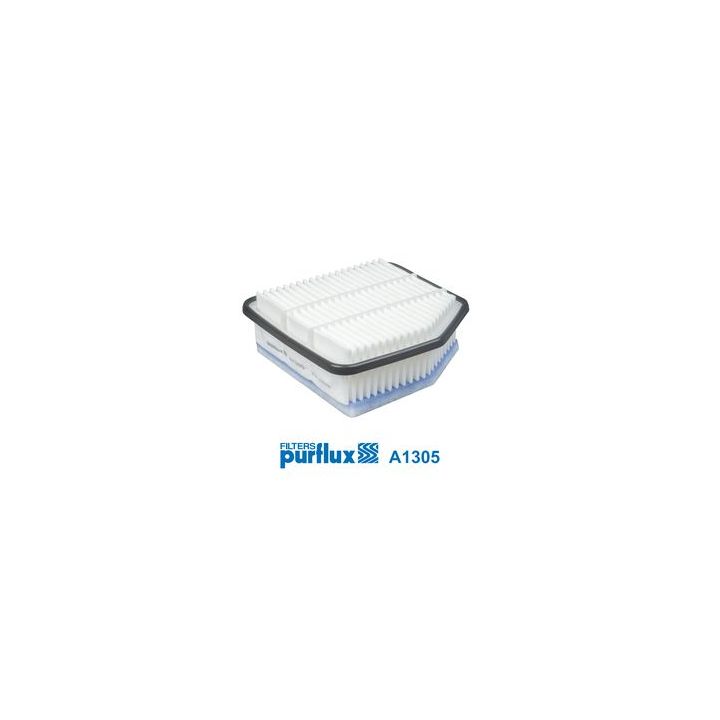 Oro filtras PURFLUX A1305