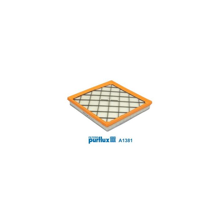 Oro filtras PURFLUX A1381