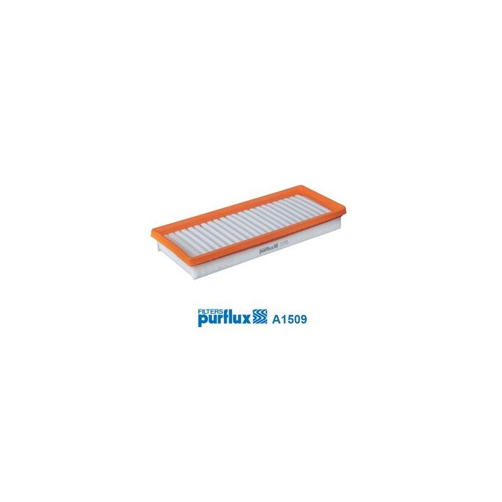 Oro filtras PURFLUX A1509