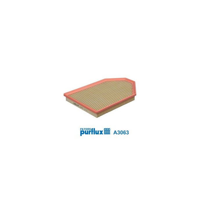 Oro filtras PURFLUX A3063