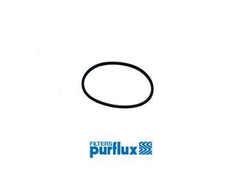 Hidraulinis filtras, automatinė transmisija PURFLUX TFK-SE0018