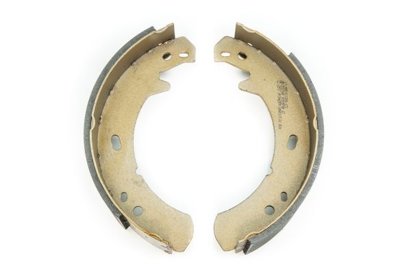 Stabdžių trinkelių komplektas, stovėjimo stabdis TEXTAR 91055700