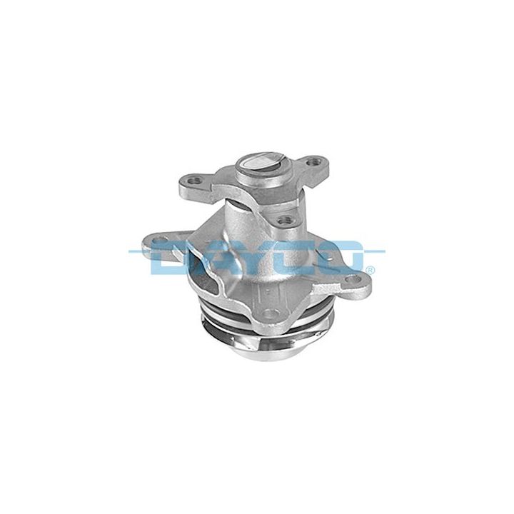 Vandens siurblys, variklio aušinimas DAYCO DP433