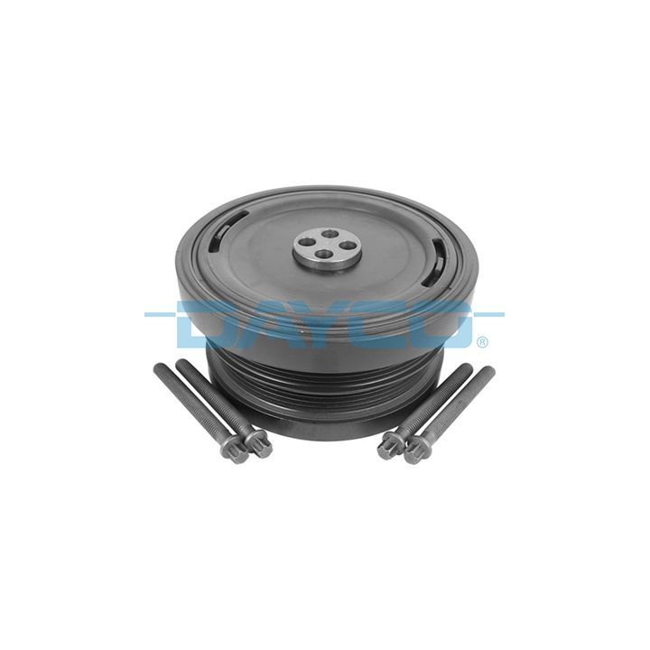 Alkūninio veleno skriemulių rinkinys DAYCO DPV1064K