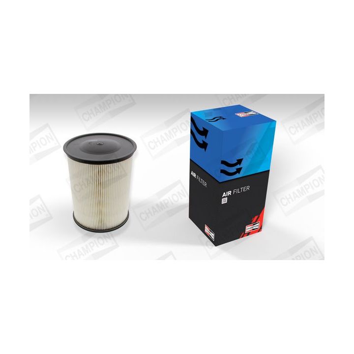 Oro filtras CHAMPION CAF100493C