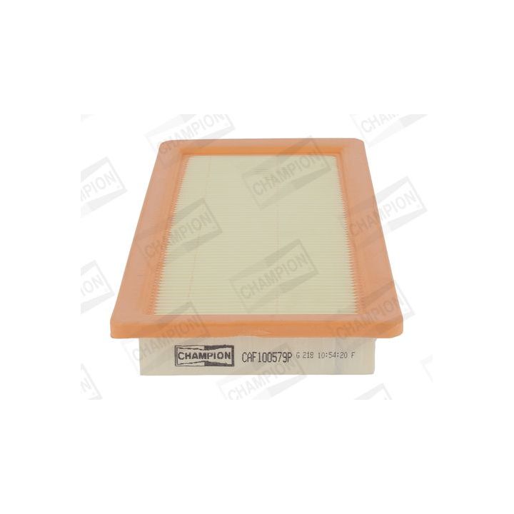 Oro filtras CHAMPION CAF100579P