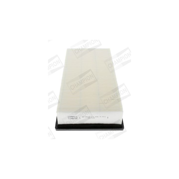 Oro filtras CHAMPION CAF100634P