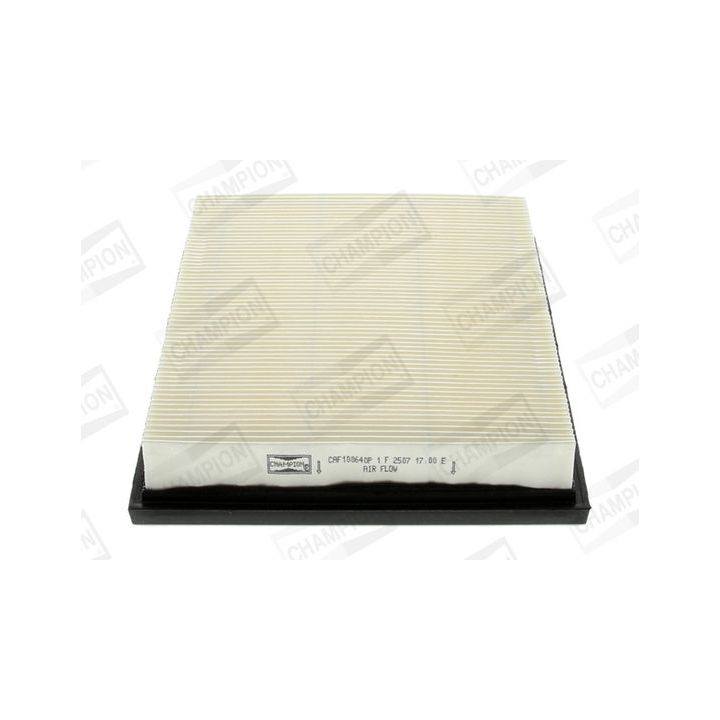 Oro filtras CHAMPION CAF100640P