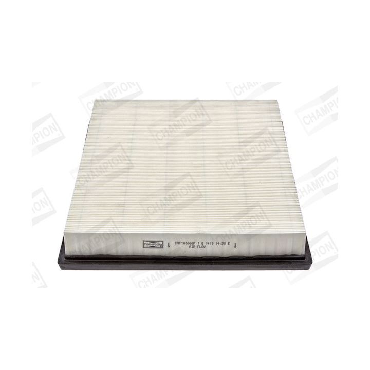 Oro filtras CHAMPION CAF100666P
