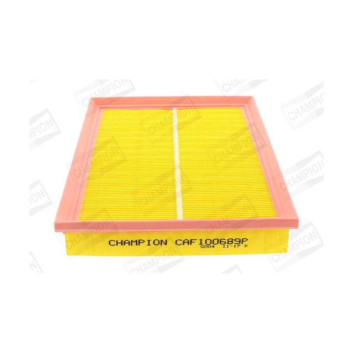 Oro filtras CHAMPION CAF100689P