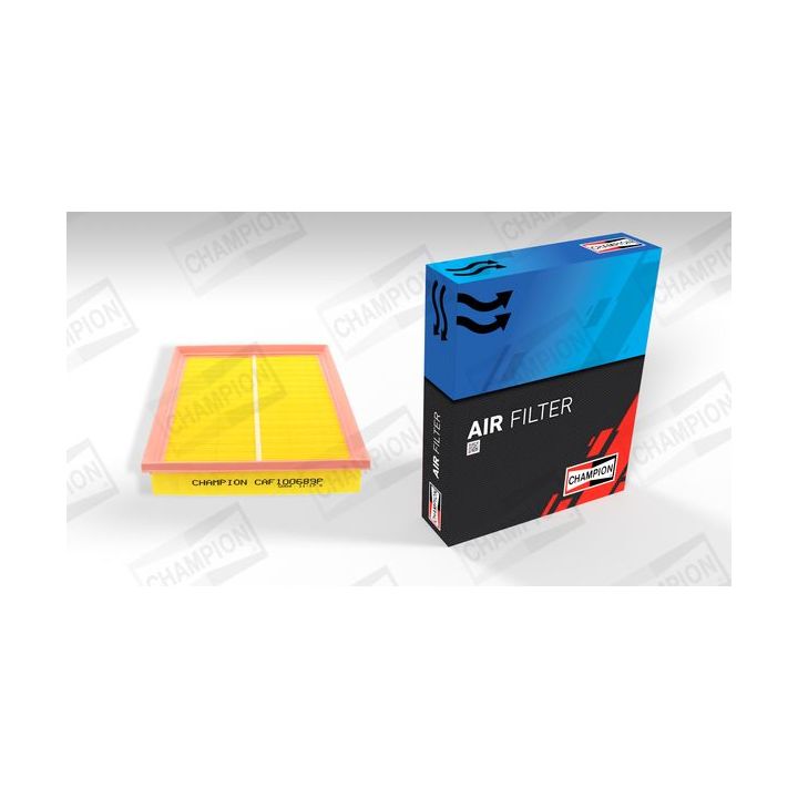Oro filtras CHAMPION CAF100689P