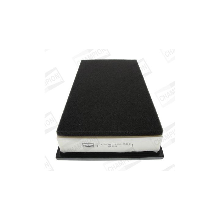 Oro filtras CHAMPION CAF100711P