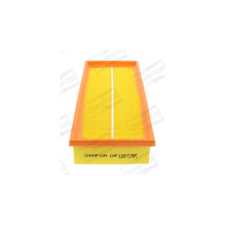 Oro filtras CHAMPION CAF100738P