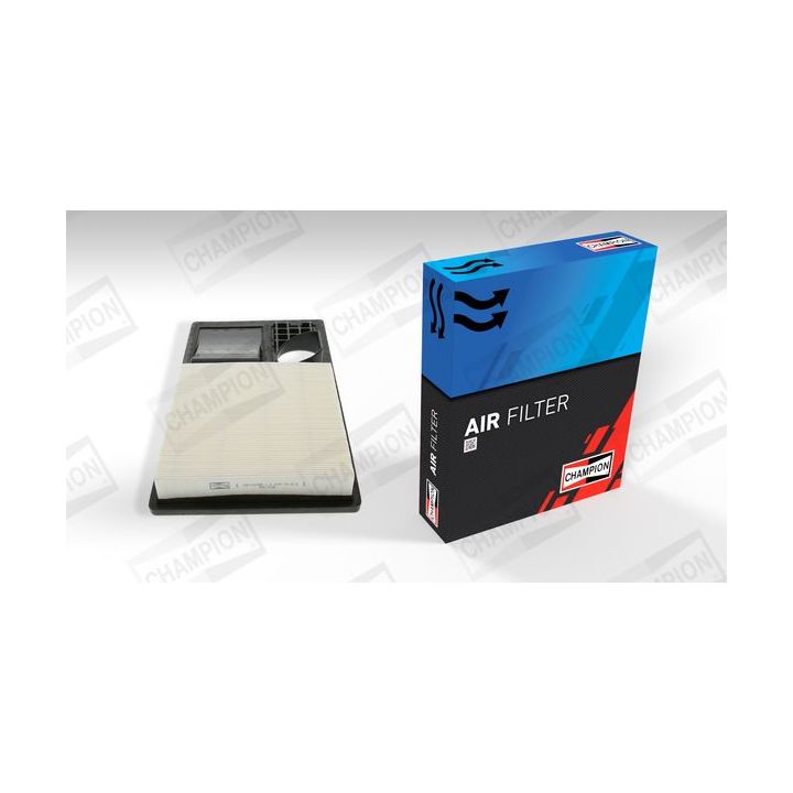 Oro filtras CHAMPION CAF100748P