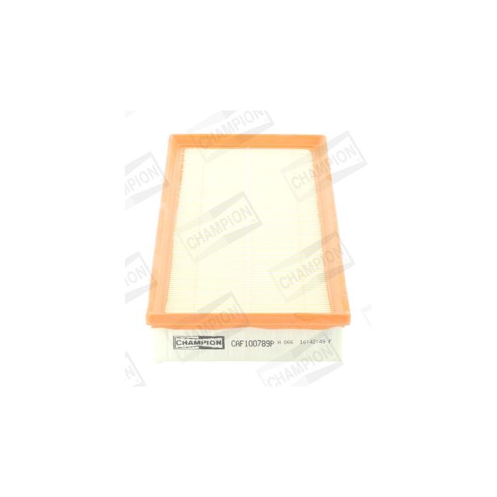 Oro filtras CHAMPION CAF100789P