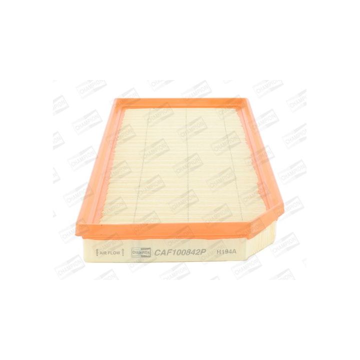 Oro filtras CHAMPION CAF100842P