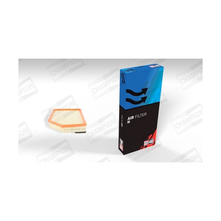 Oro filtras CHAMPION CAF100860P