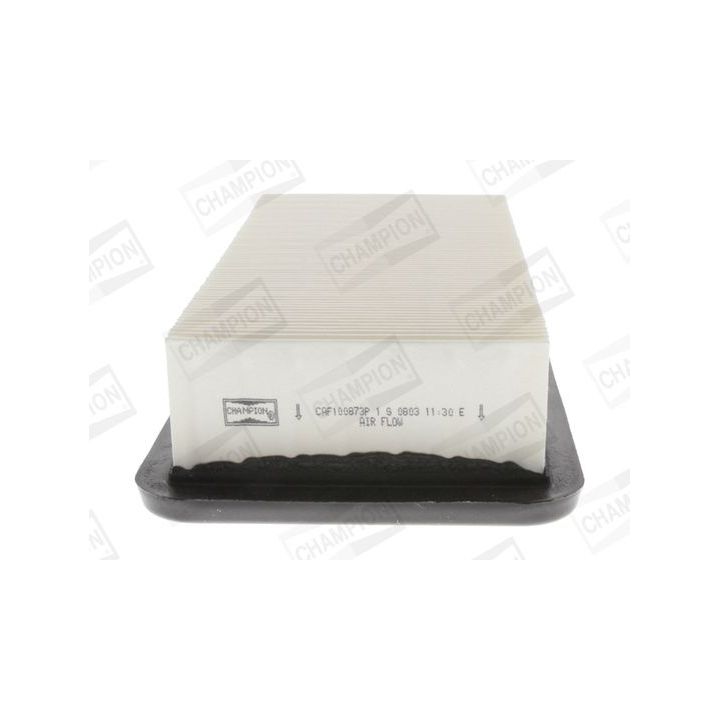 Oro filtras CHAMPION CAF100873P
