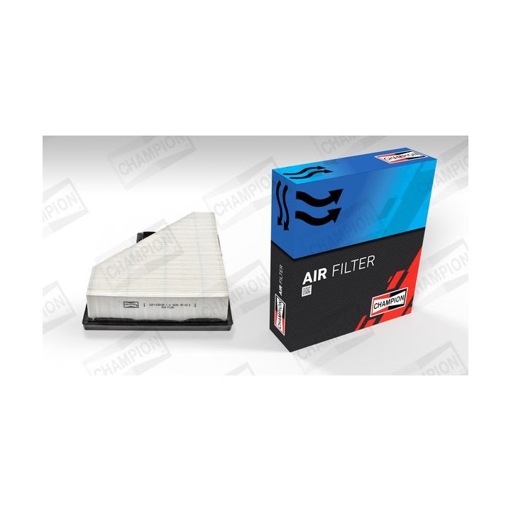 Oro filtras CHAMPION CAF100876P