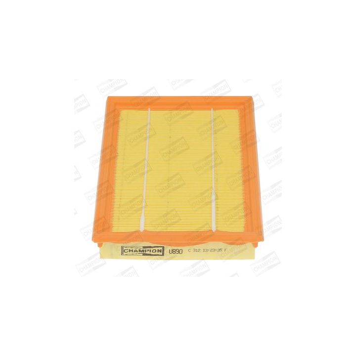 Oro filtras CHAMPION CAF100890P