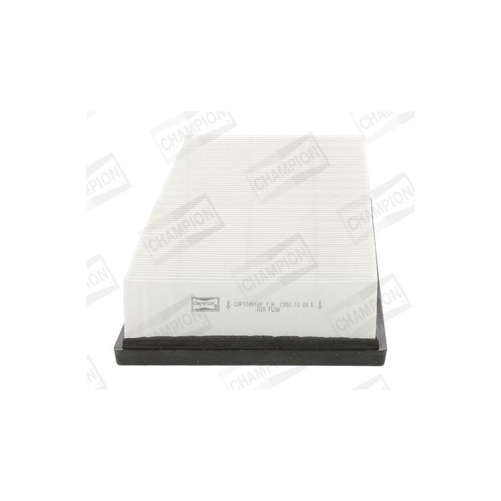Oro filtras CHAMPION CAF100918P