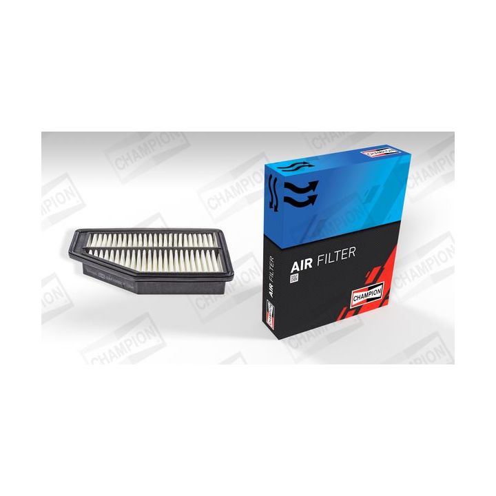 Oro filtras CHAMPION CAF100925P