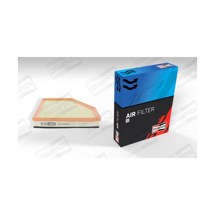 Oro filtras CHAMPION CAF100934P