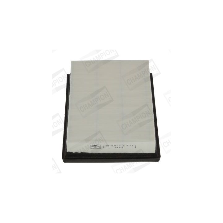 Oro filtras CHAMPION CAF100979P