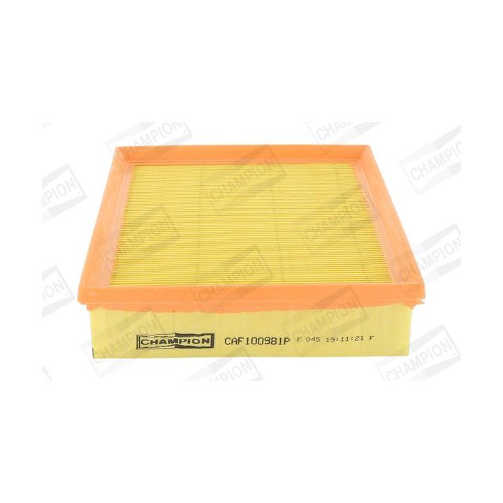 Oro filtras CHAMPION CAF100981P