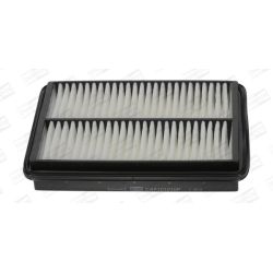 Oro filtras CHAMPION CAF101010P