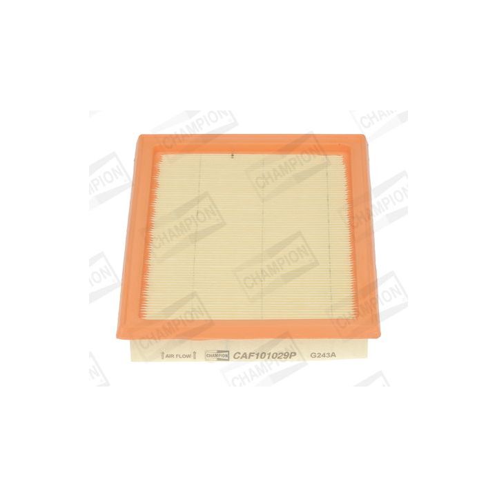 Oro filtras CHAMPION CAF101029P