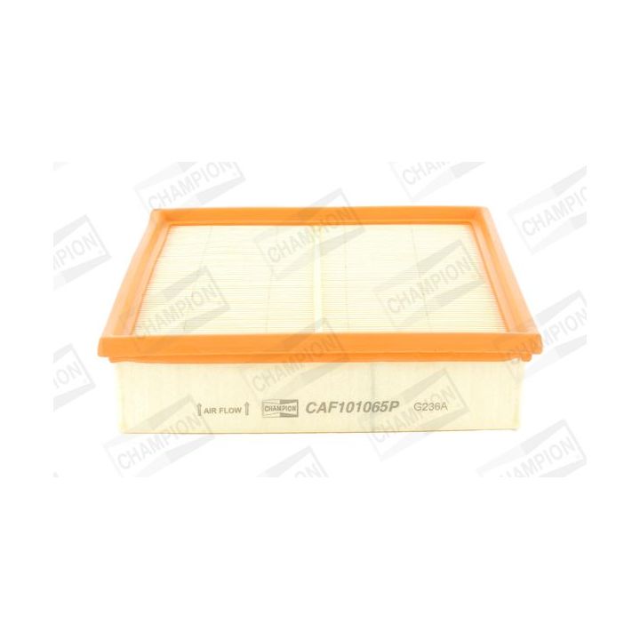 Oro filtras CHAMPION CAF101065P
