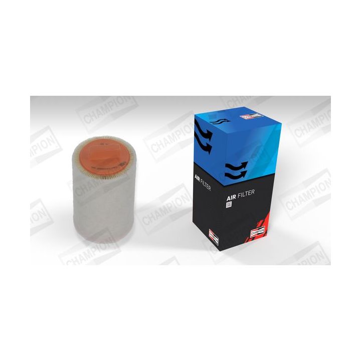 Oro filtras CHAMPION CAF101066R