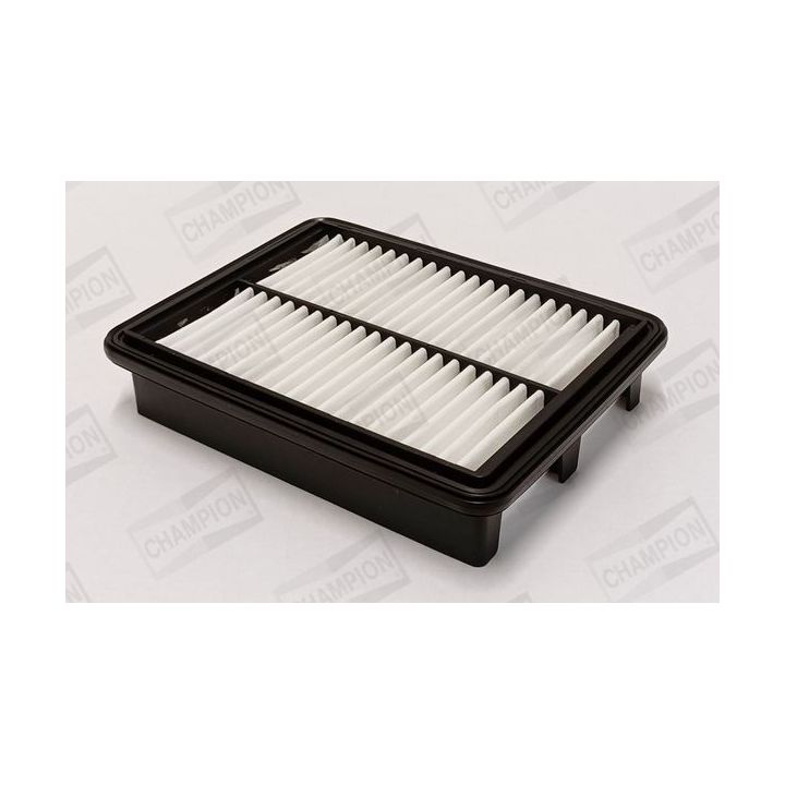 Oro filtras CHAMPION CAF101171P