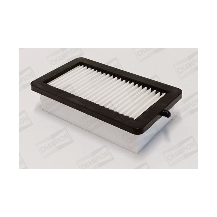 Oro filtras CHAMPION CAF101191P