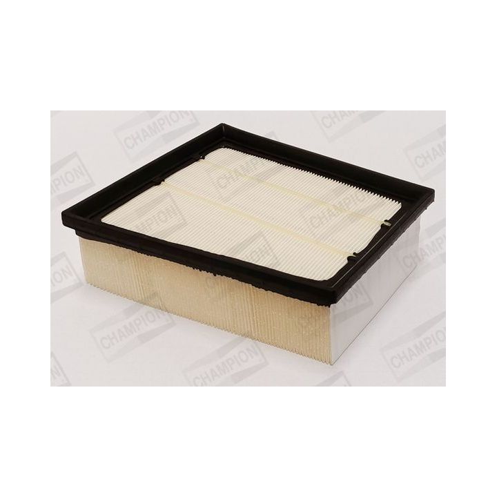 Oro filtras CHAMPION CAF101216P