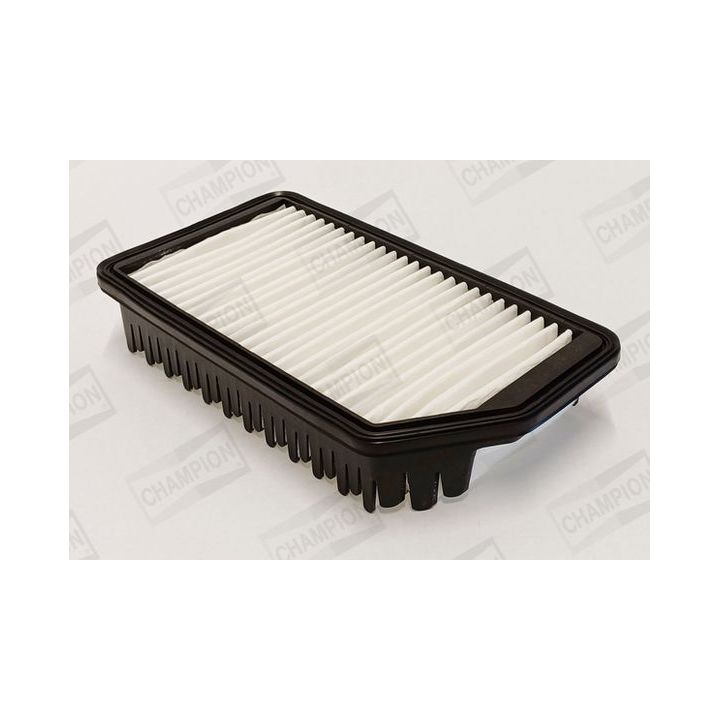 Oro filtras CHAMPION CAF101228P